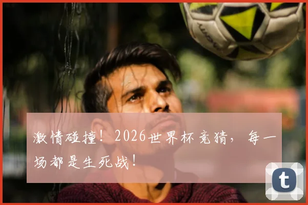 激情碰撞！2026世界杯竞猜，每一场都是生死战！